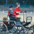 Nashoba Carriage Classic